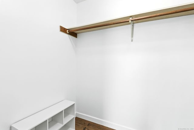 spacious closet featuring dark wood-style flooring