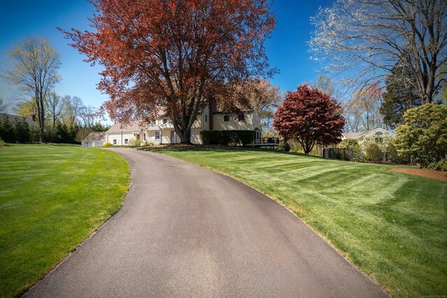 view of asphalt driveway