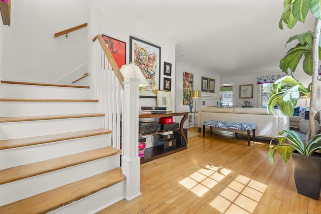 staircase with hardwood / wood-style flooring