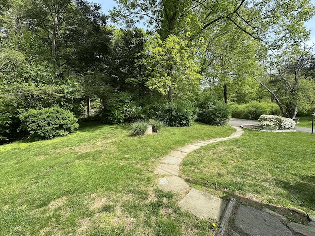 view of grassy yard