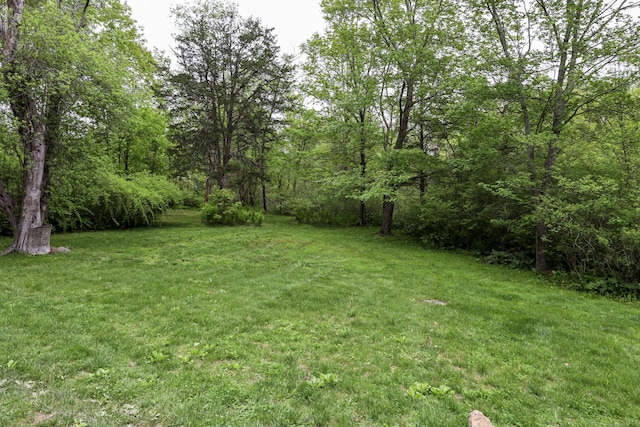 view of green lawn featuring a view of trees