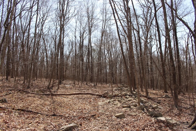 view of local wilderness