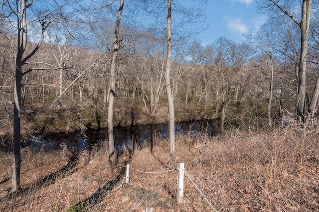view of local wilderness
