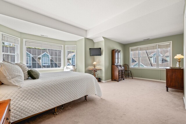 bedroom featuring baseboards and carpet