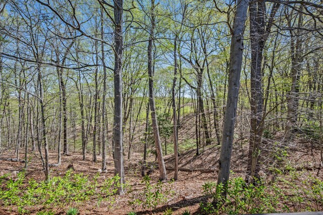 view of wooded area
