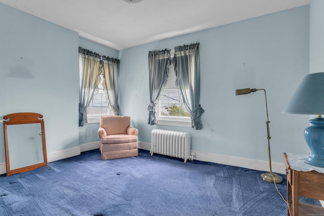 706 Ocean Ave, West Haven, CT 06516 - sitting room with radiator, carpet, and baseboards