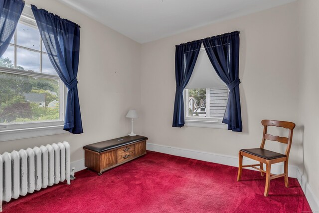 706 Ocean Ave, West Haven, CT 06516 - sitting room with radiator, carpet flooring, and baseboards