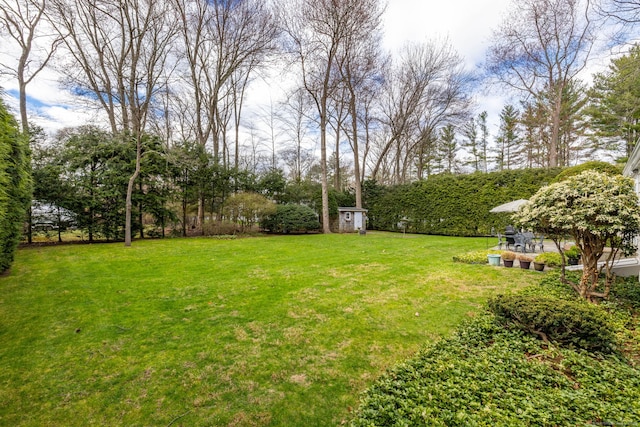 view of yard featuring an outdoor structure and a shed