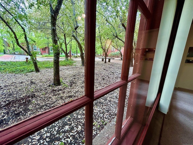 doorway to outside with a healthy amount of sunlight