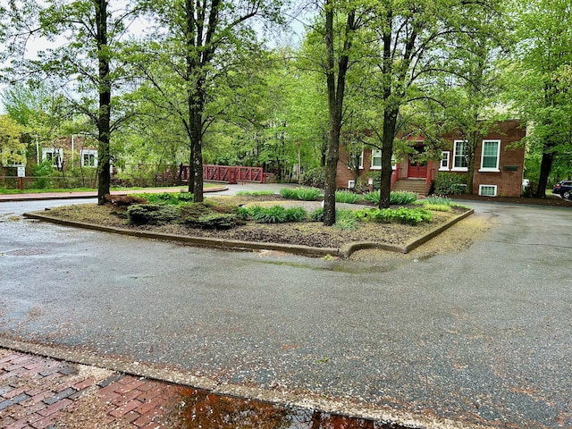view of street with curbs