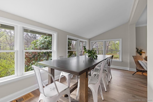 dining area featuring a healthy amount of sunlight, baseboards, wood finished floors, and lofted ceiling