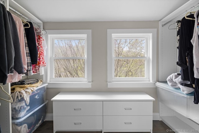 view of walk in closet
