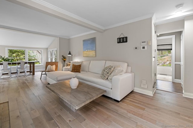 living room with a healthy amount of sunlight, baseboards, crown molding, and light wood-style flooring