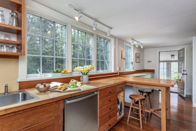 kitchen with dark wood-style flooring, stainless steel dishwasher, brown cabinets, a sink, and track lighting