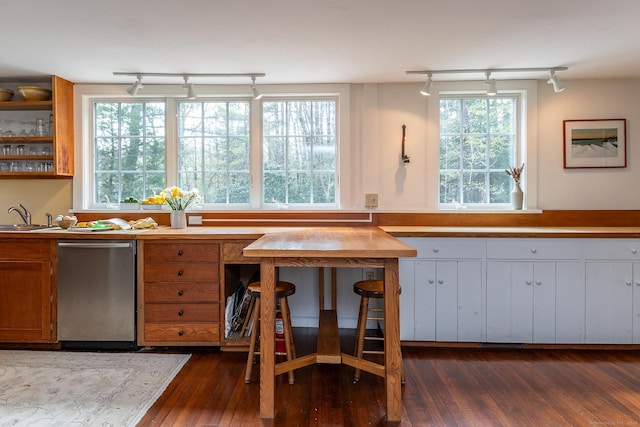 kitchen with stainless steel dishwasher, dark wood-style floors, track lighting, and a wealth of natural light