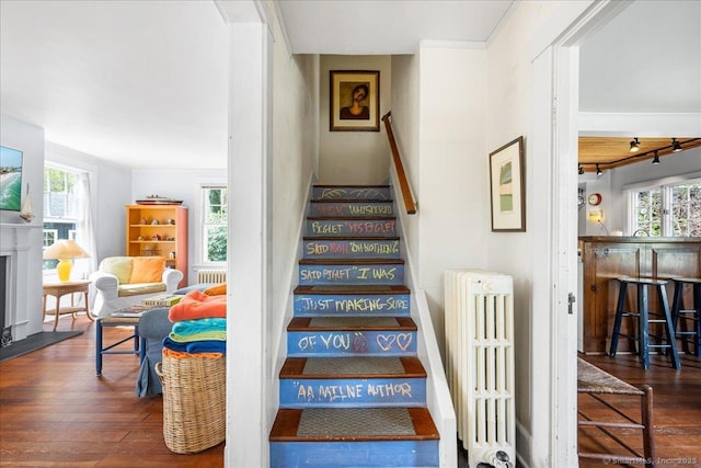 stairway featuring wood-type flooring, radiator heating unit, a healthy amount of sunlight, and a fireplace