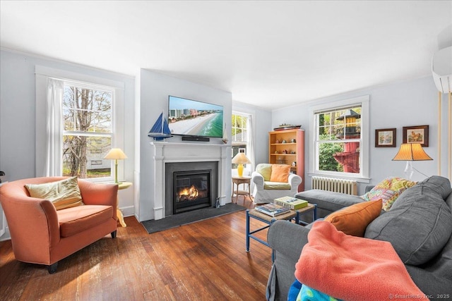 living area with radiator, a glass covered fireplace, and hardwood / wood-style floors