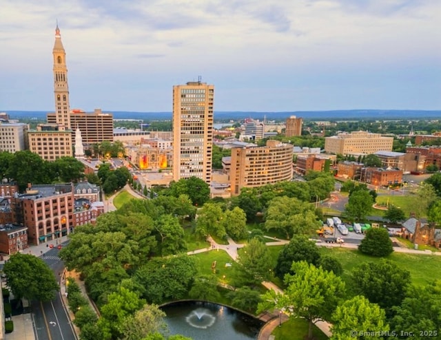 1 Gold St Unit 17De, Hartford, CT 06103 - view of urban area