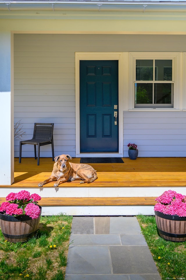 34 Knibloe Hill Rd, Sharon, CT 06069 - doorway to property featuring a porch