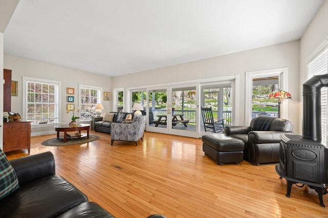 living area with a wood stove and light wood finished floors