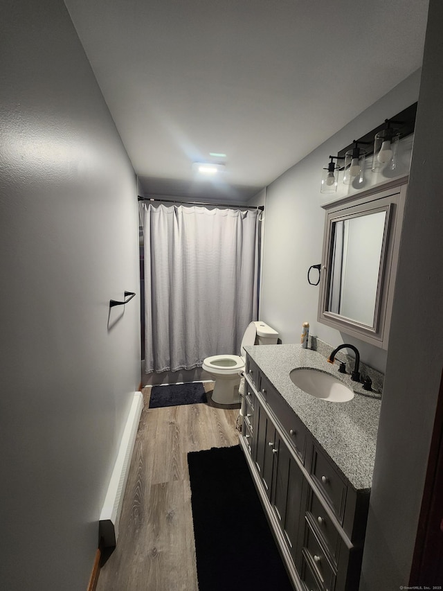 bathroom featuring a shower with shower curtain, toilet, wood finished floors, and vanity