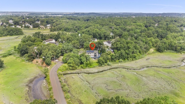 117 Mansfield Grove Rd, East Haven, CT 06512 - view of property location with a heavily wooded area