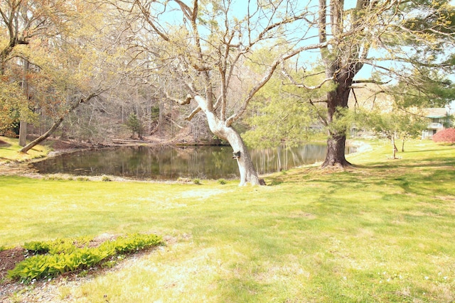 view of grassy yard featuring a water view