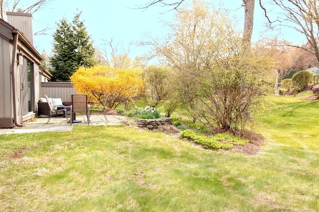 view of green lawn with a patio