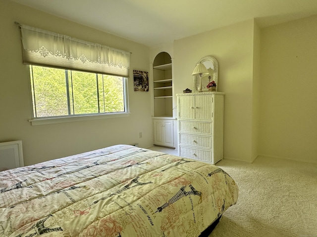 336 Heritage Vlg Unit B, Southbury, CT 06488 - view of carpeted bedroom