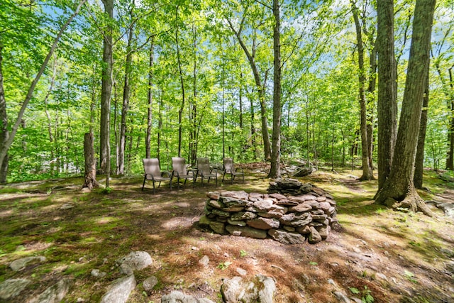 24 Scott Rd, Oxford, CT 06478 - view of yard