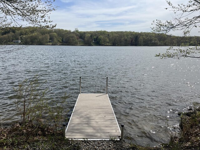 dock area featuring a water view and a wooded view