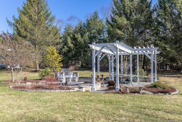 view of yard featuring a pergola and a patio