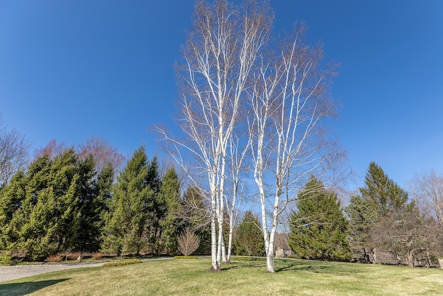 view of property's community with a lawn