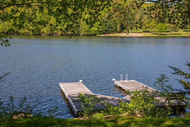 18 Arrow Point Rd, Warren, CT 06777 - photo 5