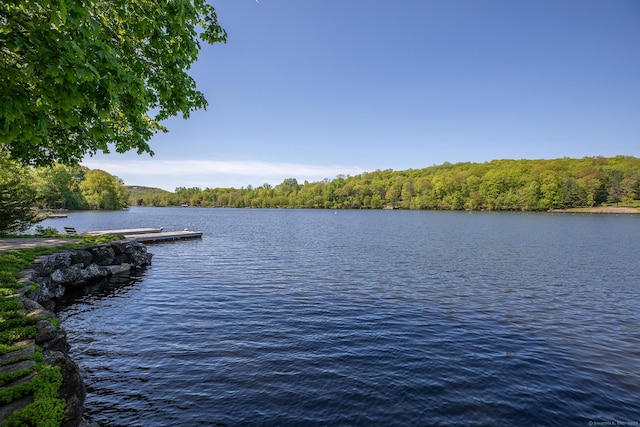 18 Arrow Point Rd, Warren, CT 06777 - photo 8