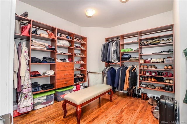 walk in closet featuring wood finished floors
