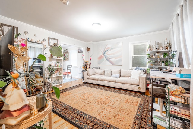 living room with ornamental molding and wood finished floors