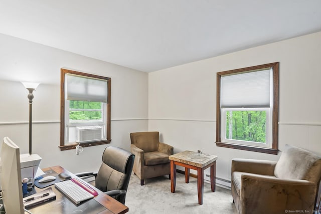 49 Birch Hill Rd, Newtown, CT 06470 - office area featuring cooling unit, light colored carpet, and a baseboard heating unit