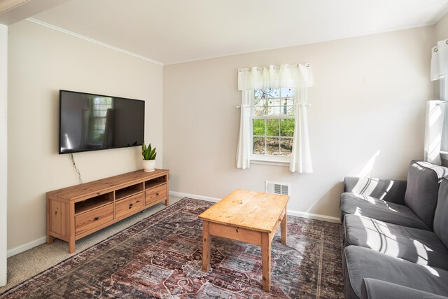 living area featuring crown molding, baseboards, carpet floors, and visible vents