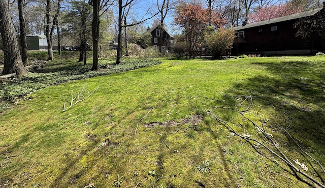 653 Andrew Mountain Rd, Naugatuck, CT 06770 - view of yard
