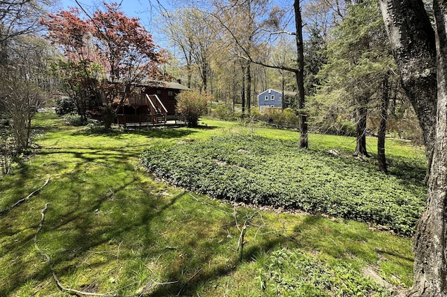 653 Andrew Mountain Rd, Naugatuck, CT 06770 - view of yard