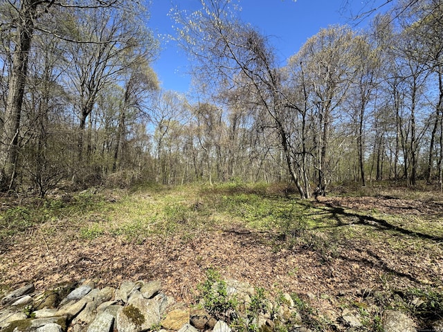 653 Andrew Mountain Rd, Naugatuck, CT 06770 - view of local wilderness featuring a forest view