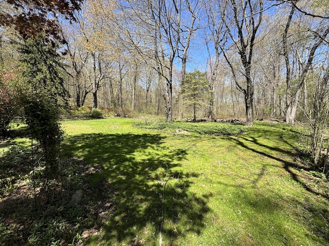 653 Andrew Mountain Rd, Naugatuck, CT 06770 - view of yard