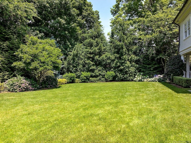 35 Club Rd, Greenwich, CT 06878 - view of yard