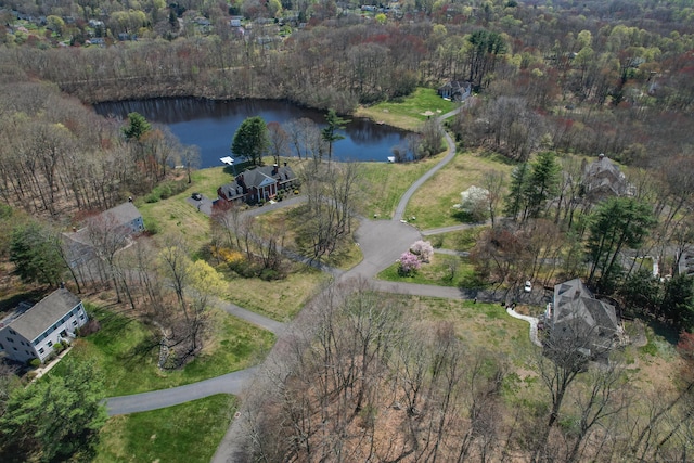drone / aerial view featuring a forest view and a water view