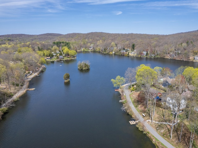 aerial view with a water view and a forest view