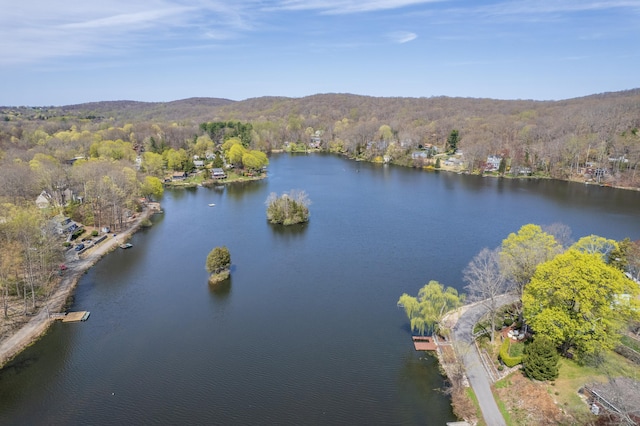 bird's eye view featuring a wooded view and a water view