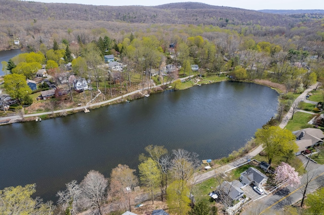 bird's eye view featuring a water view and a forest view