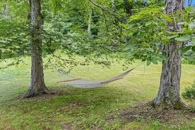 112 Easton Rd, Westport, CT 06880 - view of grassy yard