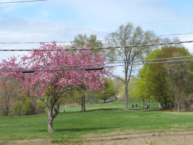 view of property's community with a yard